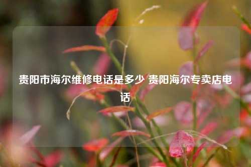 贵阳市海尔维修电话是多少 贵阳海尔专卖店电话