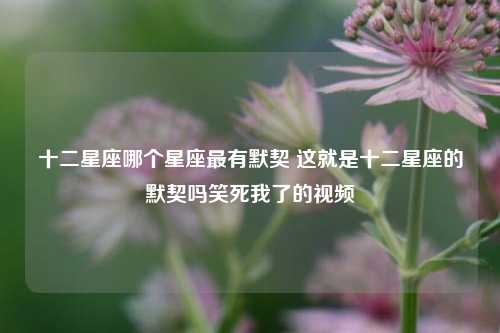 十二星座哪个星座最有默契 这就是十二星座的默契吗笑死我了的视频