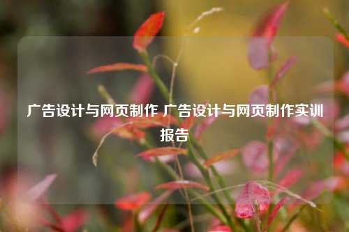 广告设计与网页制作 广告设计与网页制作实训报告