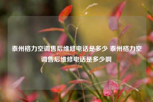 泰州格力空调售后维修电话是多少 泰州格力空调售后维修电话是多少啊
