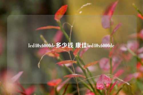 led40x6000de多少钱 康佳led40x6000de