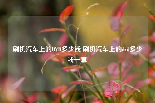 刷机汽车上的DVD多少钱 刷机汽车上的dvd多少钱一套