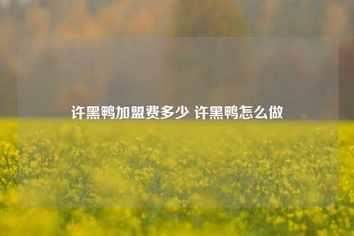 许黑鸭加盟费多少 许黑鸭怎么做