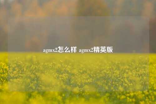 agmx2怎么样 agmx2精英版