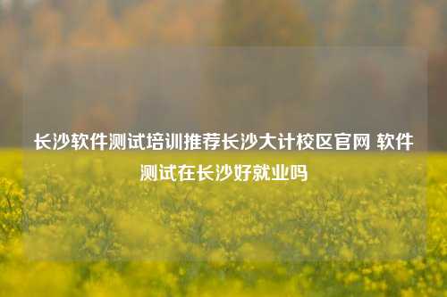 长沙软件测试培训推荐长沙大计校区官网 软件测试在长沙好就业吗