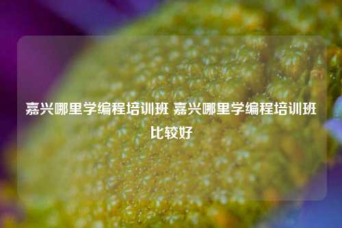 嘉兴哪里学编程培训班 嘉兴哪里学编程培训班比较好