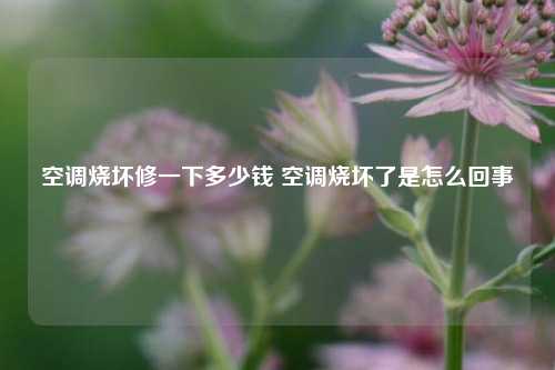 空调烧坏修一下多少钱 空调烧坏了是怎么回事