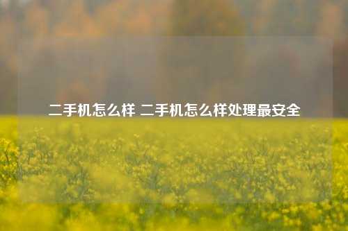 二手机怎么样 二手机怎么样处理最安全