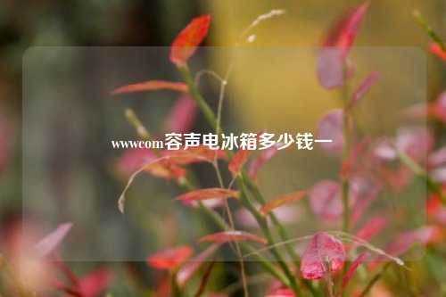 wwwcom容声电冰箱多少钱一
