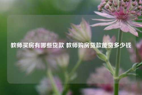 教师买房有哪些贷款 教师购房贷款能贷多少钱