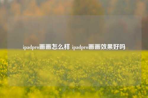 ipadpro画画怎么样 ipadpro画画效果好吗