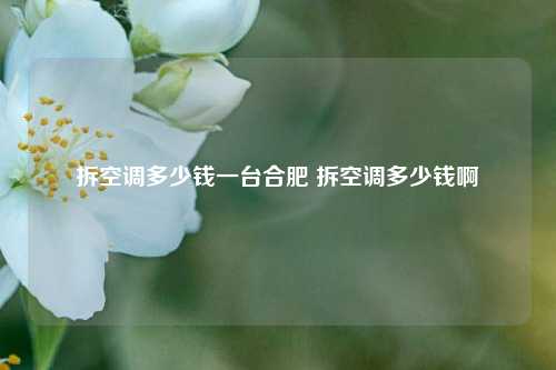 拆空调多少钱一台合肥 拆空调多少钱啊