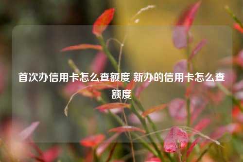 首次办信用卡怎么查额度 新办的信用卡怎么查额度
