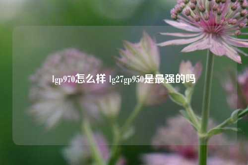 lgp970怎么样 lg27gp950是最强的吗