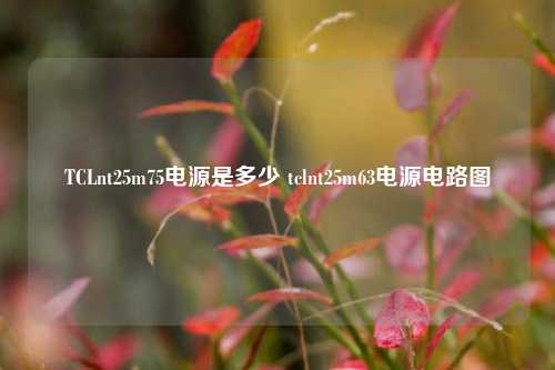 TCLnt25m75电源是多少 tclnt25m63电源电路图