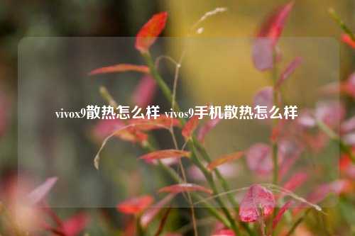 vivox9散热怎么样 vivos9手机散热怎么样