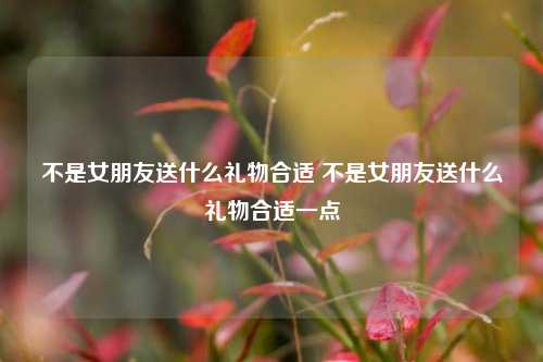 不是女朋友送什么礼物合适 不是女朋友送什么礼物合适一点