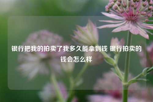 银行把我的拍卖了我多久能拿到钱 银行拍卖的钱会怎么样