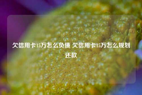 欠信用卡15万怎么负债 欠信用卡15万怎么规划还款