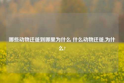 哪些动物迁徙到哪里为什么 什么动物迁徙,为什么?