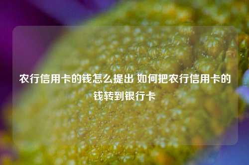 农行信用卡的钱怎么提出 如何把农行信用卡的钱转到银行卡