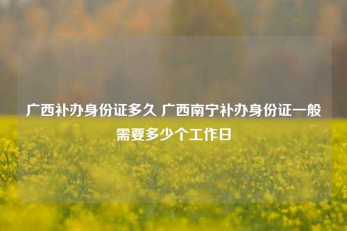 广西补办身份证多久 广西南宁补办身份证一般需要多少个工作日