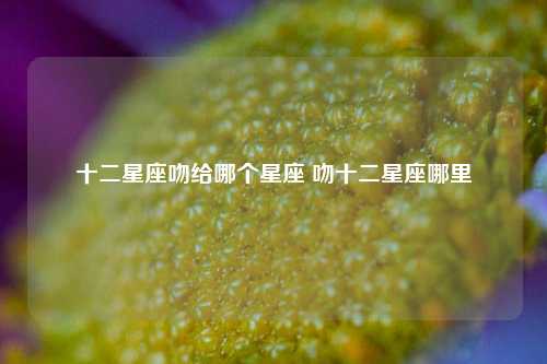 十二星座吻给哪个星座 吻十二星座哪里