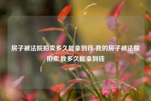 房子被法院拍卖多久能拿到钱 我的房子被法院拍卖,我多久能拿到钱