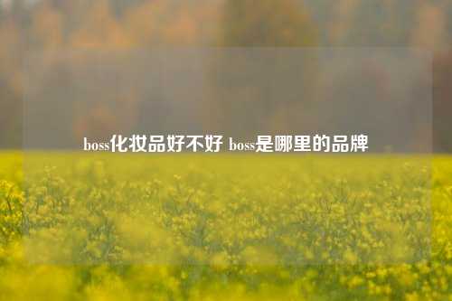 boss化妆品好不好 boss是哪里的品牌