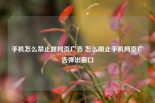 手机怎么禁止跳网页广告 怎么阻止手机网页广告弹出窗口