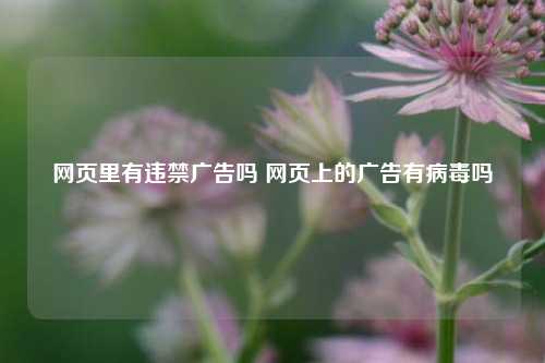 网页里有违禁广告吗 网页上的广告有病毒吗