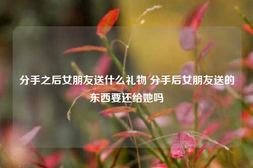 分手之后女朋友送什么礼物 分手后女朋友送的东西要还给她吗