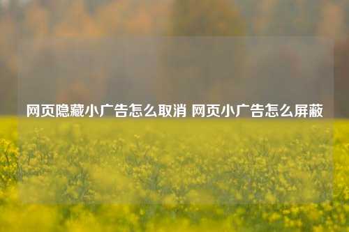 网页隐藏小广告怎么取消 网页小广告怎么屏蔽