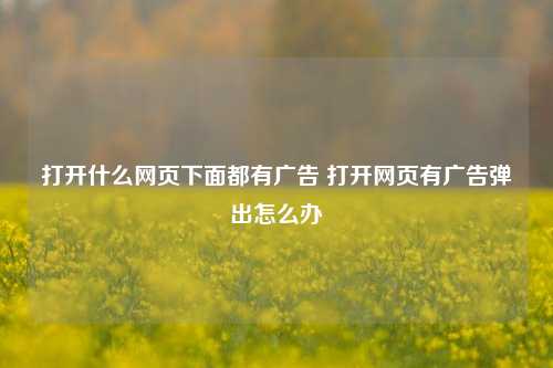 打开什么网页下面都有广告 打开网页有广告弹出怎么办