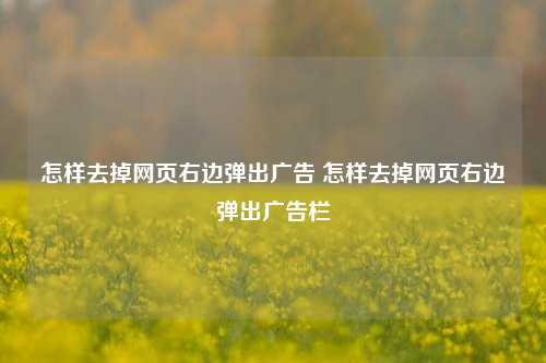 怎样去掉网页右边弹出广告 怎样去掉网页右边弹出广告栏