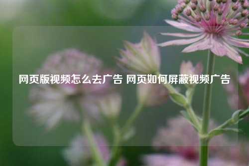 网页版视频怎么去广告 网页如何屏蔽视频广告