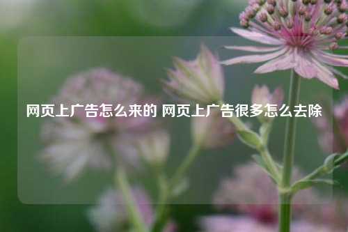 网页上广告怎么来的 网页上广告很多怎么去除
