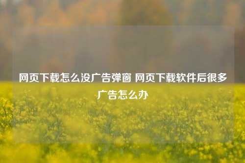 网页下载怎么没广告弹窗 网页下载软件后很多广告怎么办