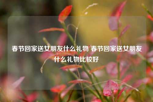 春节回家送女朋友什么礼物 春节回家送女朋友什么礼物比较好