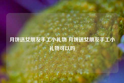 月饼送女朋友手工小礼物 月饼送女朋友手工小礼物可以吗