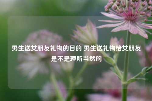 男生送女朋友礼物的目的 男生送礼物给女朋友是不是理所当然的