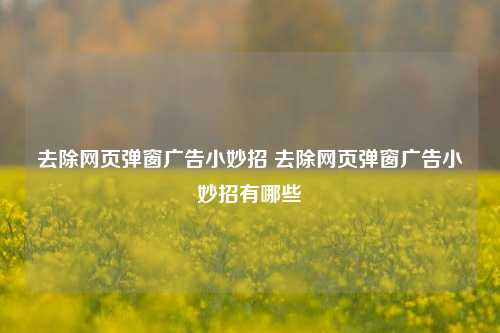 去除网页弹窗广告小妙招 去除网页弹窗广告小妙招有哪些