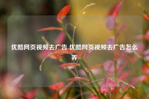 优酷网页视频去广告 优酷网页视频去广告怎么弄