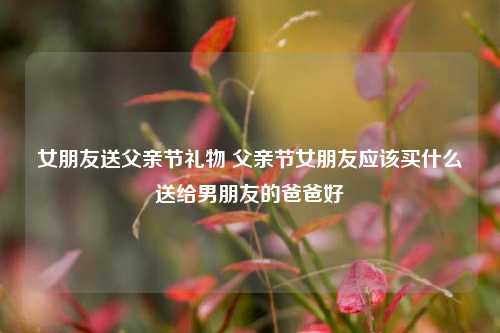 女朋友送父亲节礼物 父亲节女朋友应该买什么送给男朋友的爸爸好