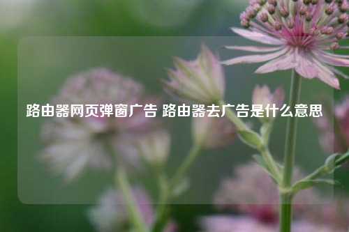 路由器网页弹窗广告 路由器去广告是什么意思