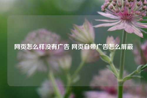 网页怎么样没有广告 网页自带广告怎么屏蔽