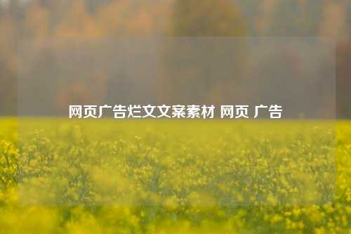 网页广告烂文文案素材 网页 广告