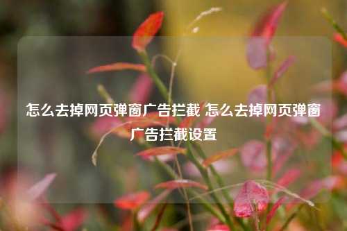 怎么去掉网页弹窗广告拦截 怎么去掉网页弹窗广告拦截设置