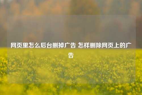 网页里怎么后台删掉广告 怎样删除网页上的广告