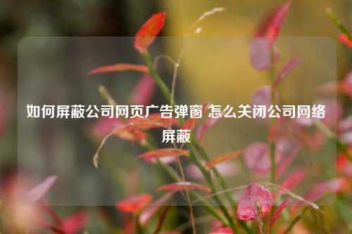 如何屏蔽公司网页广告弹窗 怎么关闭公司网络屏蔽